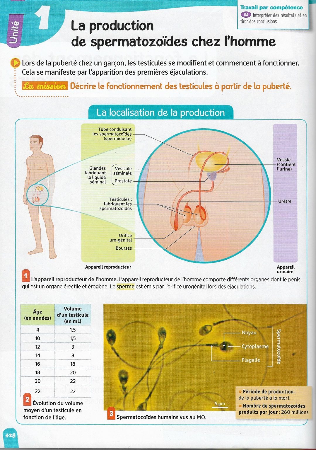 Chapitre N°7 Reproduction Humaine Et Formation Dun Nouvel Individu Svt Jules Michelet 3431